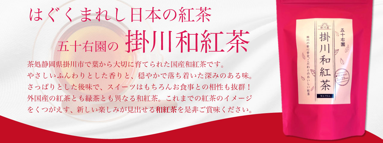 五十右園 掛川和紅茶
