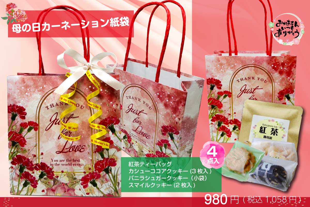 母の日カーネーション紙袋